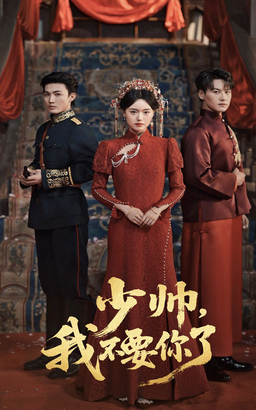 少帅我不要你了